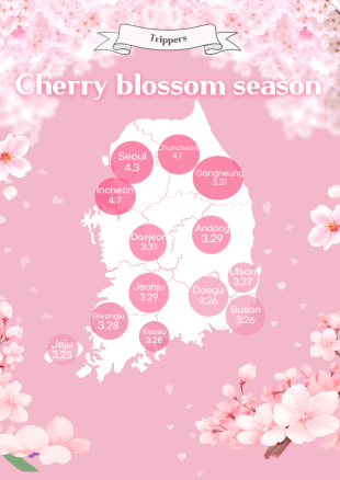 Cherry blossom season in 2025