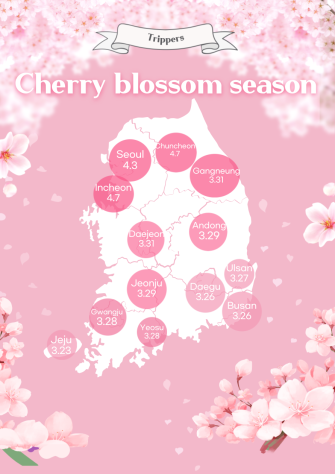 Cherry blossom season in 2025